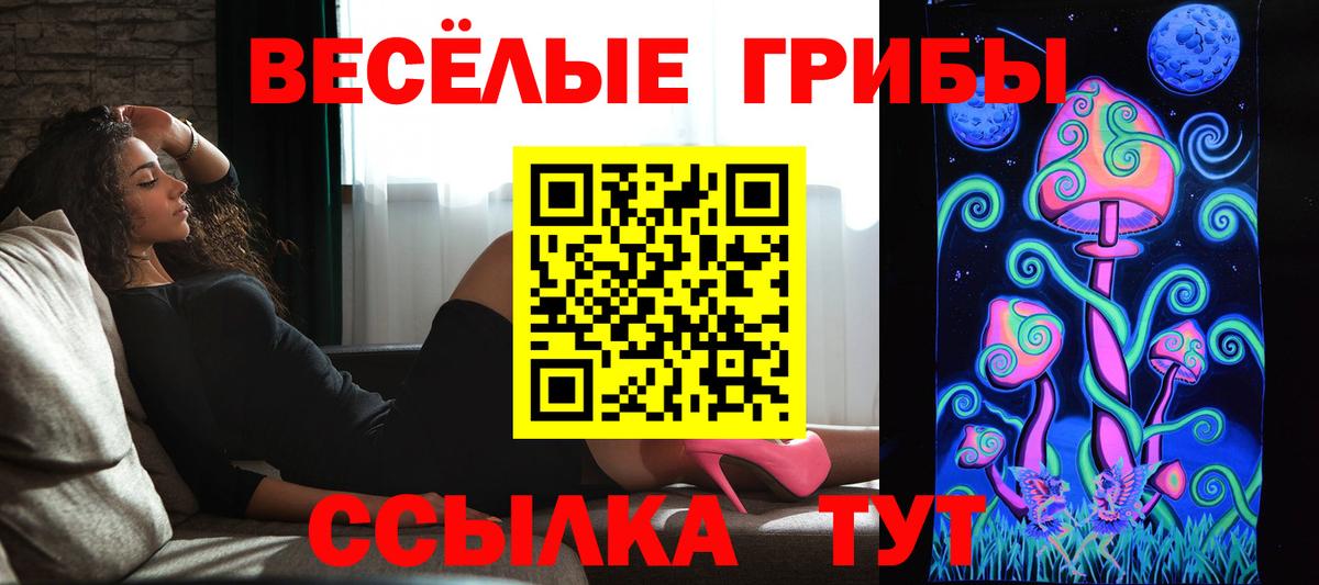 Псилоцибиновые грибы Psilocybine cubensis  Вход с VPN  Алапаевск  Галлюциногенные грибы прущие грибы 